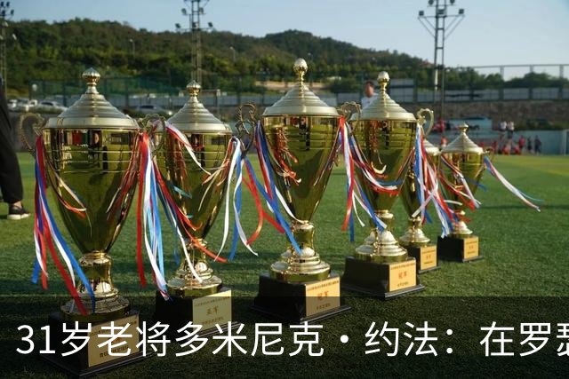 31岁老将多米尼克·约法：在罗瑟汉姆的重燃之旅