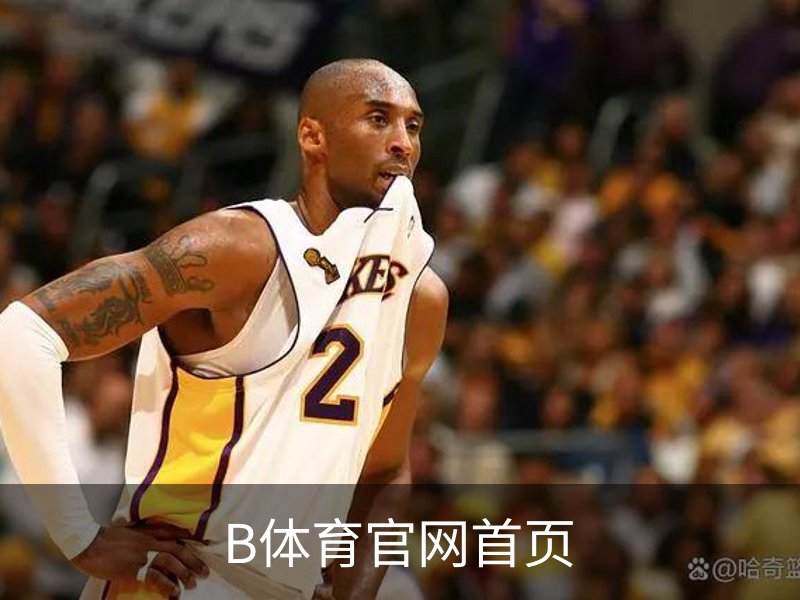 B体育官网首页概况